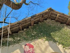 -村上春树