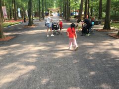 -东平国家森林公园