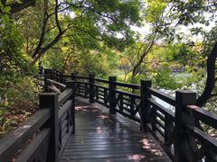 -白马涧龙池景区