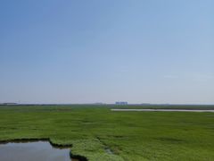 -南大港湿地风景区