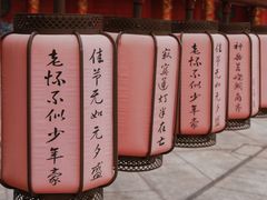 -海花岛旅游度假区