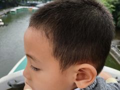 -广东茂名森林公园