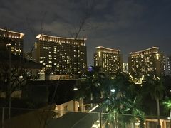 -三亚湾红树林度假世界(木棉酒店)