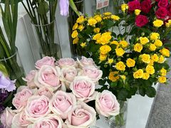 -摩登百货(岗顶店)