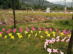 -中国香山·寿香谷