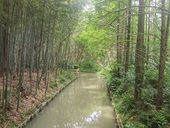 -同里国家湿地公园