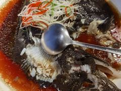 清蒸多宝鱼-和记小菜(七宝店)