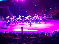 -珠海横琴长隆《卡卡虎奇遇记》