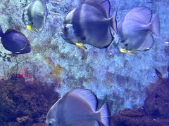 -上海动物园(地铁站)