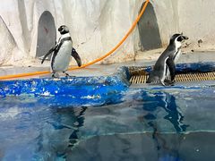 -太平洋海底世界