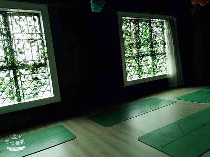 绿素瑜伽(南山店)-"老师很耐心,很有亲和力,环境也很安静很优.