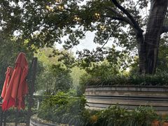 -杭州君悦酒店·青莳