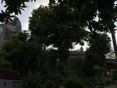 -碧江金楼