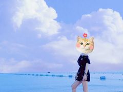 -海滨浴场