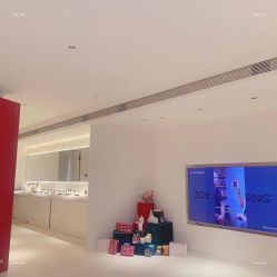 -紫御国际抗衰ZOE ANTI AGING