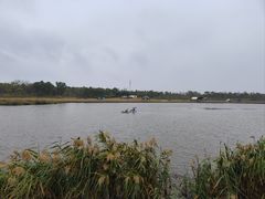 -春花秋色城市公园