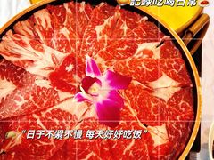 -鲜入围煮花胶鸡海鲜火锅