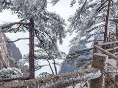 -黄山风景区