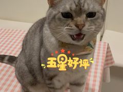 -小时光咖啡馆(北锣鼓巷店)