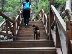 -大岭沟猕猴桃谷风景区