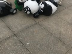 -成都保利公园皇冠假日酒店(熊猫基地店)