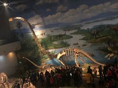 -自贡恐龙博物馆