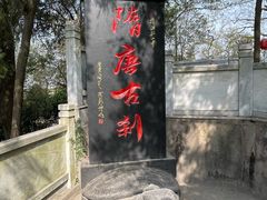 -孤山景区-孤山寺
