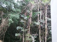-广东温泉宾馆