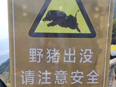 -梧桐山风景名胜区