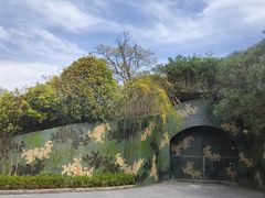-上海吴淞炮台湾国家湿地公园
