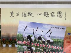 -盐城丹顶鹤湿地生态旅游区