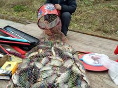 -月河湾马术俱乐部(朝阳店)