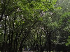 -东湖落雁景区