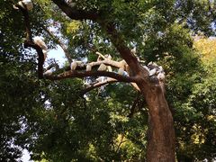 -大连理工大学(凌水校区)