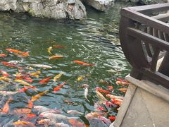 -苏苑饭店-中餐厅(长桥地区店)