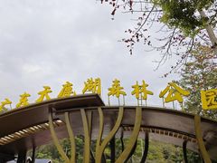 -天鹿湖森林公园