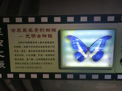 -上海昆虫博物馆