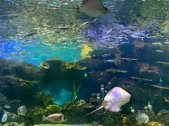 -华夏文旅海洋公园