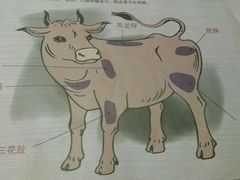 -潮汕牛肉火锅(铁西店)