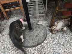 -李德富老街牛杂火锅(抚琴街店)