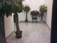 -XPEL旗舰店·汽车贴膜·隐形车衣·改色贴膜