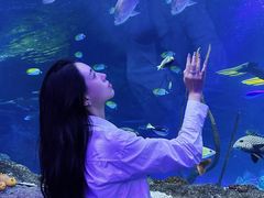 -沈阳海洋探索中心