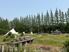 -前小桔亲子创意农场·草莓采摘·露营烧烤