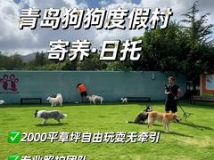 -趣玩宠物乐园寄养训犬训狗游泳池