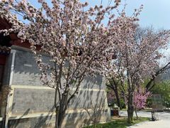 -北京鲁迅博物馆(北京新文化运动纪念馆鲁博馆区)