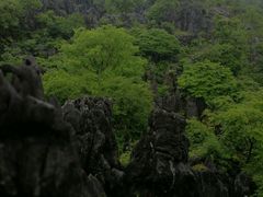-千岛湖石林