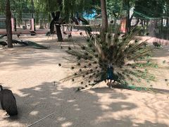 -银川动物园