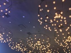 -西安威斯汀大酒店·宴会厅