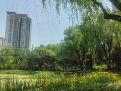 -木塔寺遗址生态公园