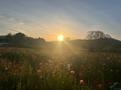 -苏州上方山国家森林公园